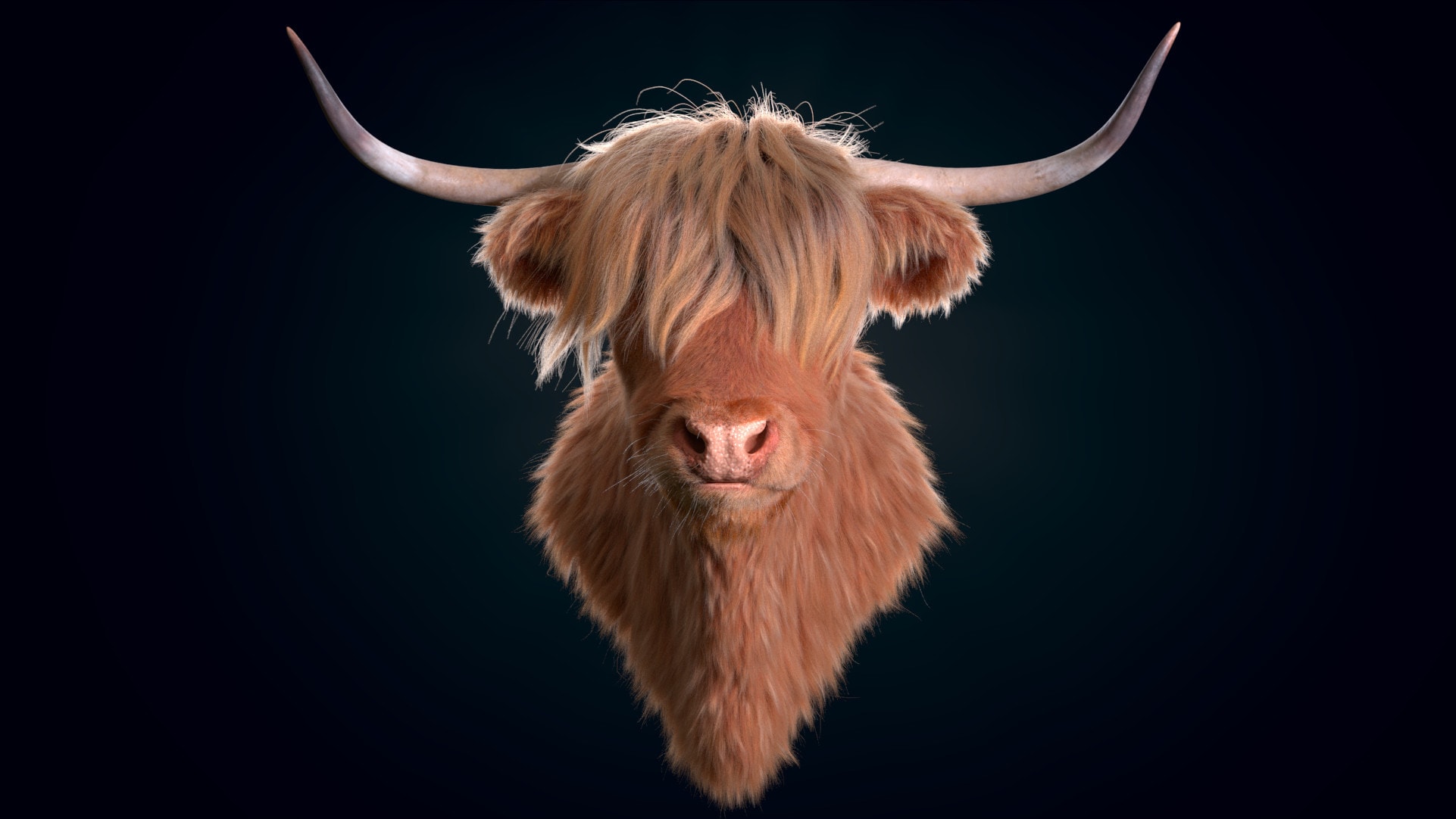 A Highland cow's head with long ginger hair over its eyes and wide horns, against a dark teal background